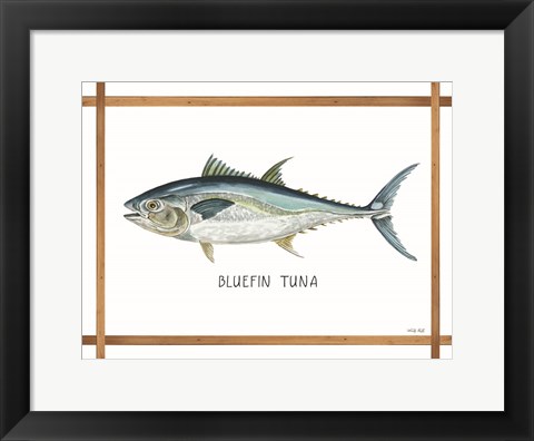 Framed Bluefin Tuna on White Print