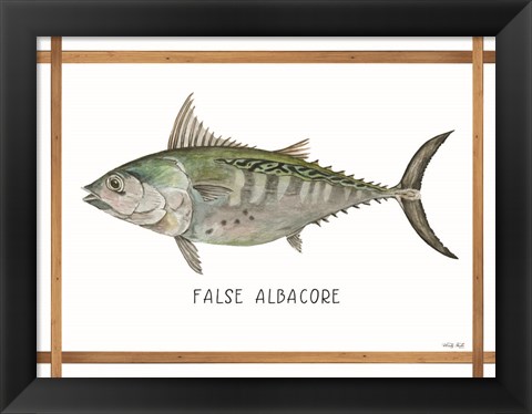 Framed False Albacore on White Print