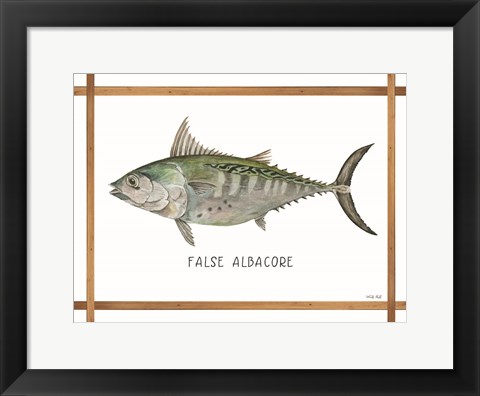 Framed False Albacore on White Print