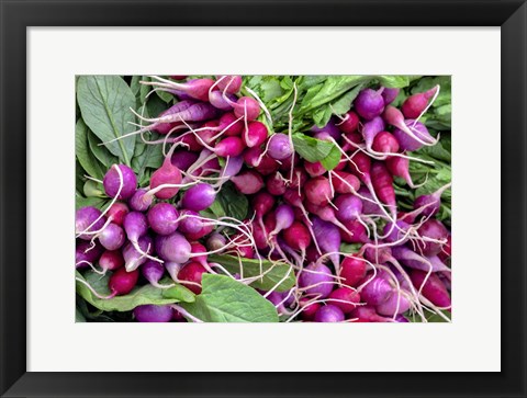 Framed Radishes Print