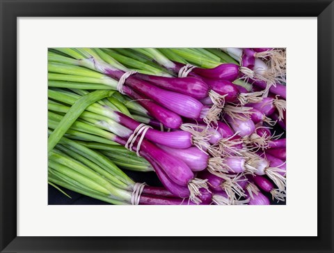 Framed Purple Scallions Print