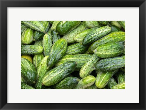 Framed Cucumbers Print