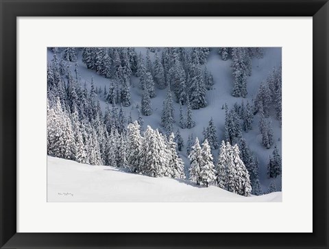 Framed North Cascades in Winter III Print