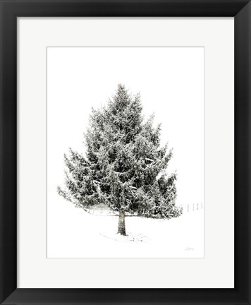 Framed Lone Pine Print