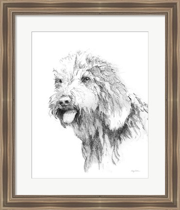 Framed Goldendoodle Sketch Print