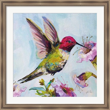 Framed Hummingbird I Florals Print