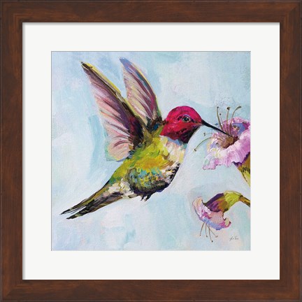 Framed Hummingbird I Print