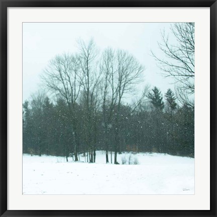 Framed Snowfall Print