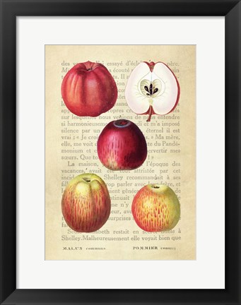 Framed Apple, After Redoute Print