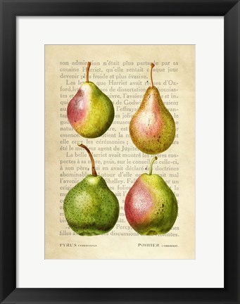 Framed Pears, After Redoute Print