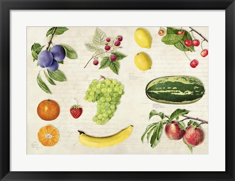 Framed Fruits du Monde Print