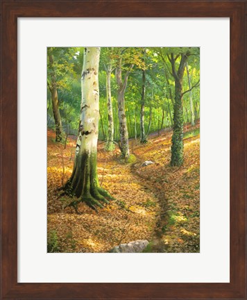 Framed Sentiero nel Bosco Print