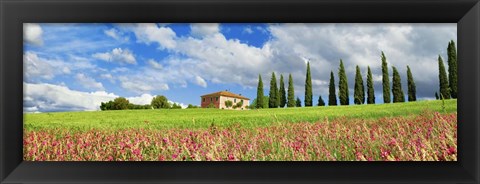 Framed Landscape with cypress alley and sainfoins, San Quirico d&#39;Orcia, Tuscany Print