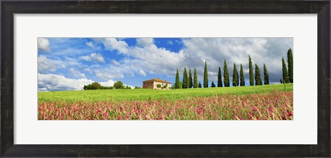 Framed Landscape with cypress alley and sainfoins, San Quirico d&#39;Orcia, Tuscany Print