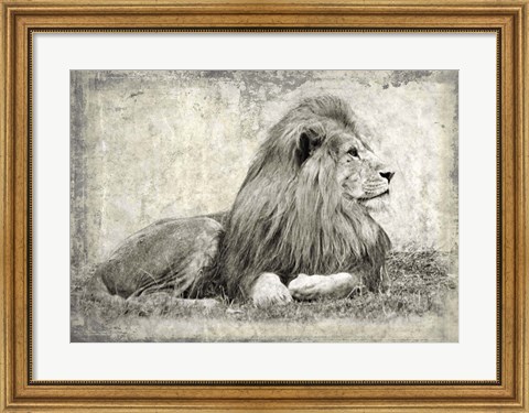 Framed Memories of Africa I Print