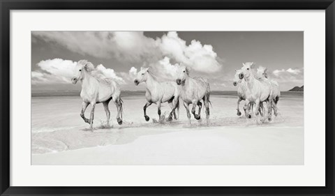 Framed Band of Brothers, Lanikai Beach, Hawaii (BW) Print