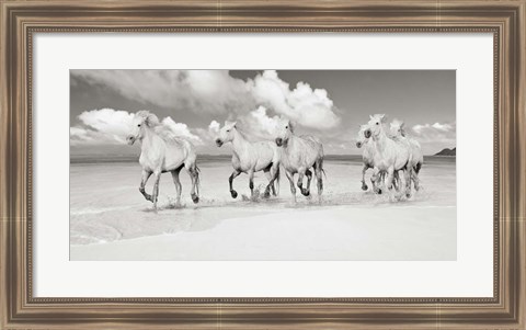 Framed Band of Brothers, Lanikai Beach, Hawaii (BW) Print