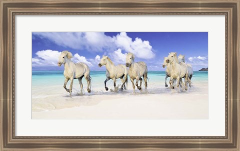 Framed Band of Brothers, Lanikai Beach, Hawaii Print