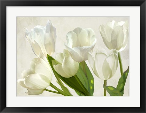 Framed White Tulips Print