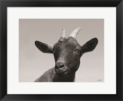 Framed Lake Tobias Goat I Print