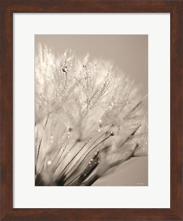 Framed Dandelion Jewels I Print