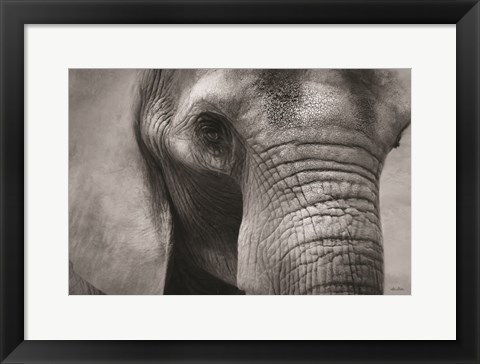 Framed Elephant Print