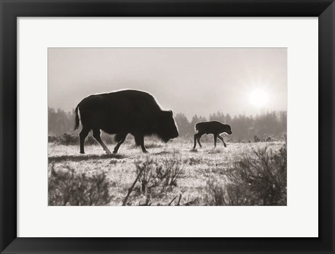 Framed Lamar Valley Migration Print