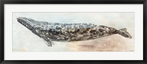 Framed Whale Color I Print