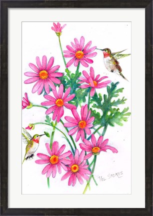 Framed Hummingbirds And Daisies Print