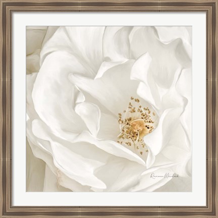 Framed Neutral Rose No. 3 Print