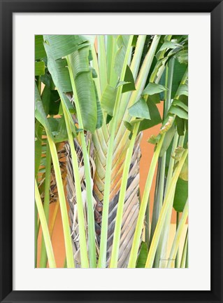 Framed Tropical Dream IV Print