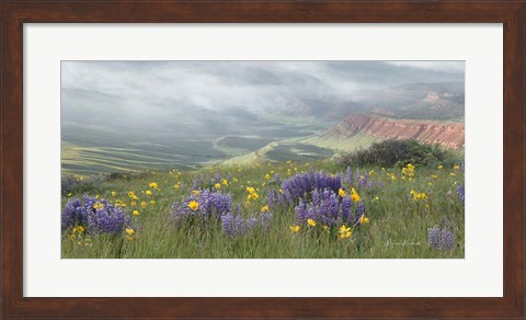 Framed Misty Valley II Print