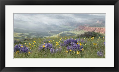 Framed Misty Valley II Print