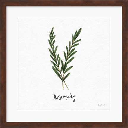 Framed Herbs III White Print