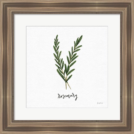 Framed Herbs III White Print