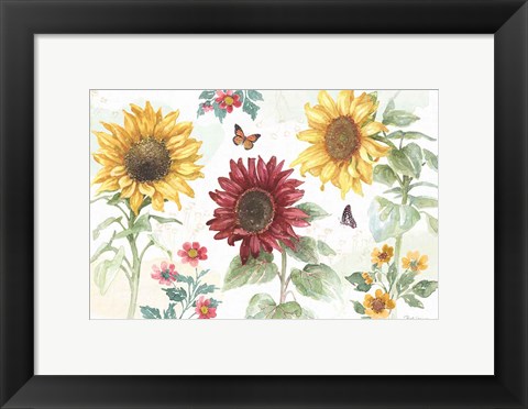 Framed Sunflower Splendor IV Print