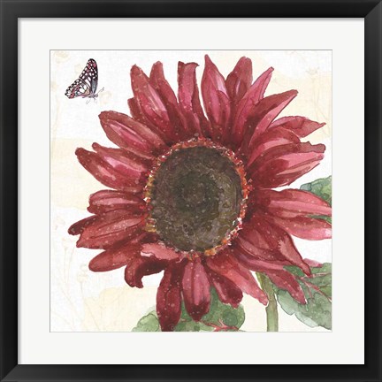 Framed Sunflower Splendor X Print