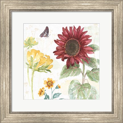 Framed Sunflower Splendor VI Print