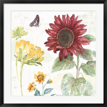 Framed Sunflower Splendor VI Print