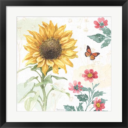 Framed Sunflower Splendor V Print