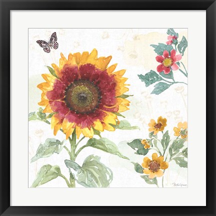 Framed Sunflower Splendor VII Print