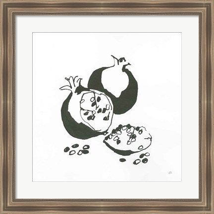 Framed Pomegranate II BW Print