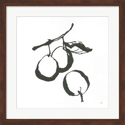 Framed Plums II BW Print