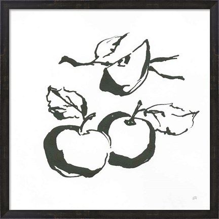 Framed Apples BW Print