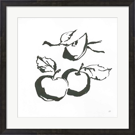 Framed Apples BW Print