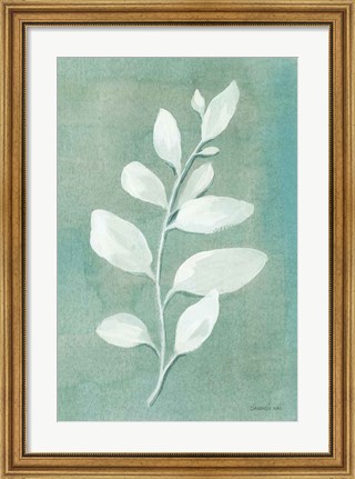 Framed Sage Leaves I Print