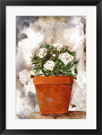 Framed White Flower Clay Pot I Print