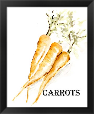 Framed Veggie Sketch V-Carrots Print