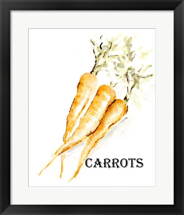 Framed Veggie Sketch V-Carrots Print