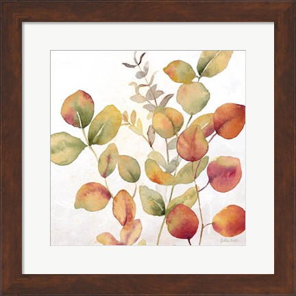 Framed Eucalyptus Leaves Spice I Print